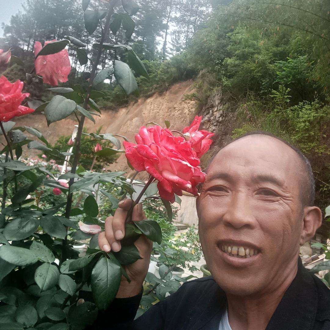 不再回意《吴》