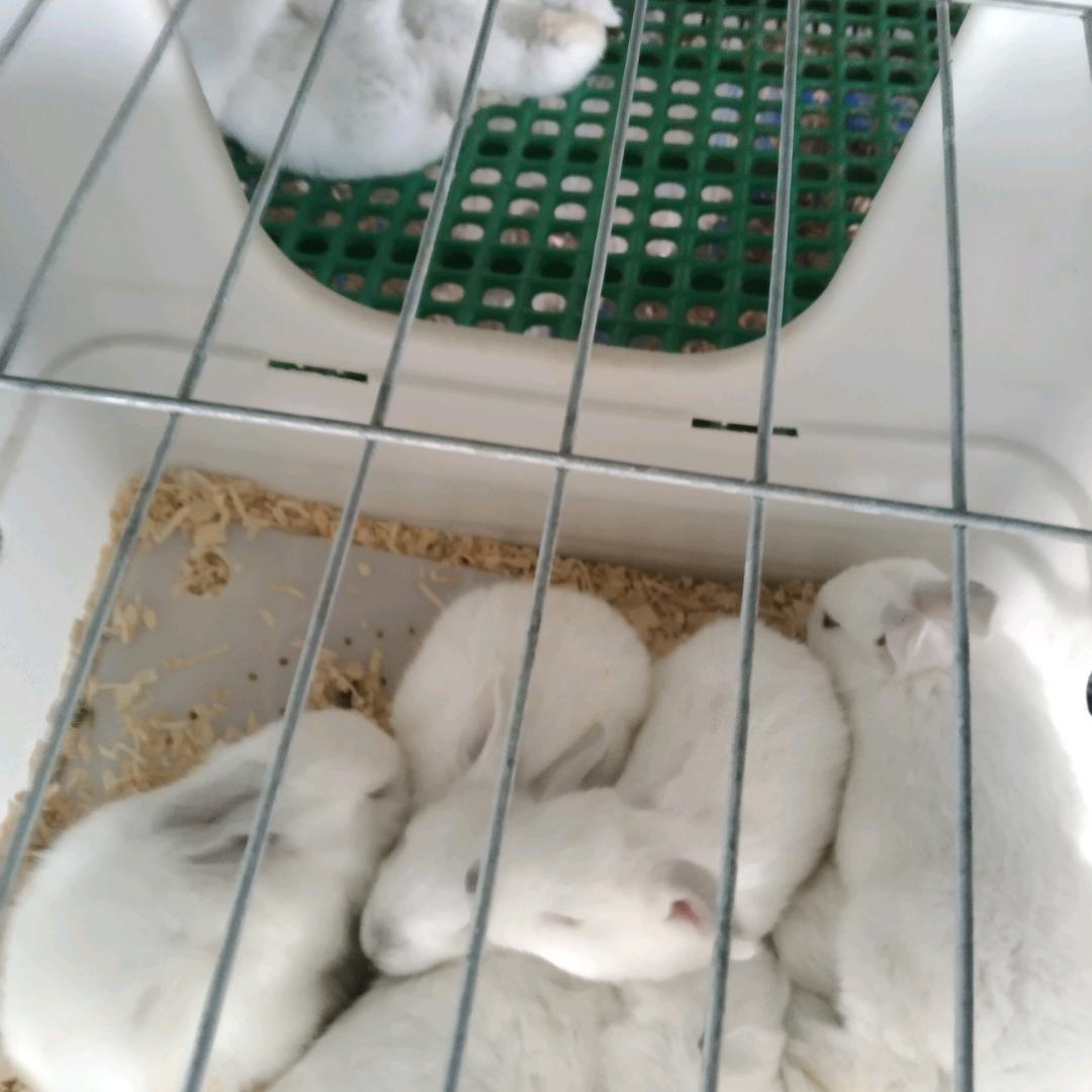 今生有缘