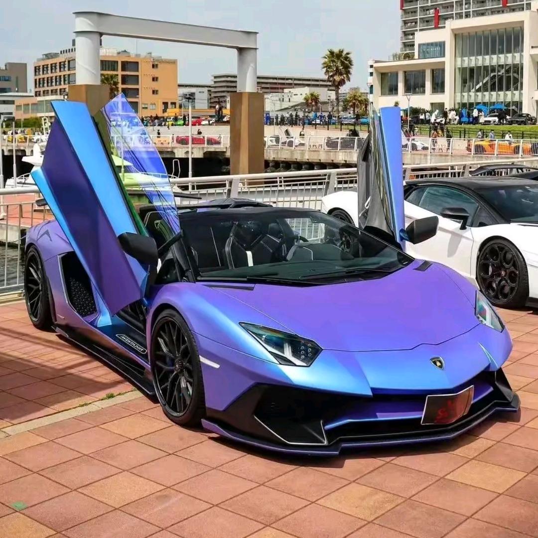 🦋ꦿ໊往事᭄🕊随风᭄ꦿᩚ٭