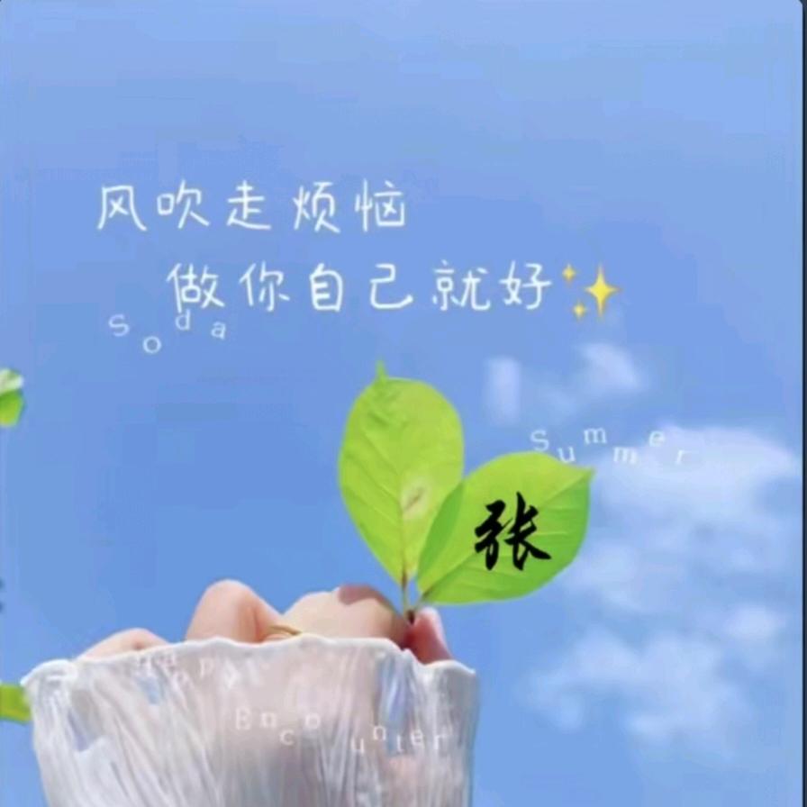 踏雪寻梅