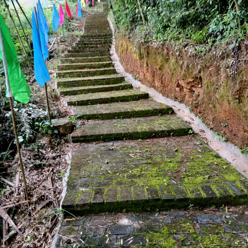 有缘相遇⁵¹²⁸