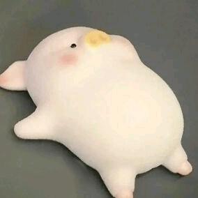 大力卷心菜