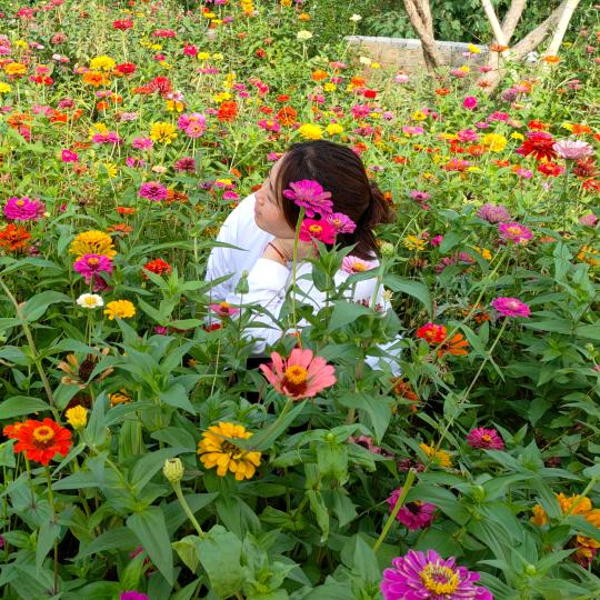 🌻向阳而生🌻