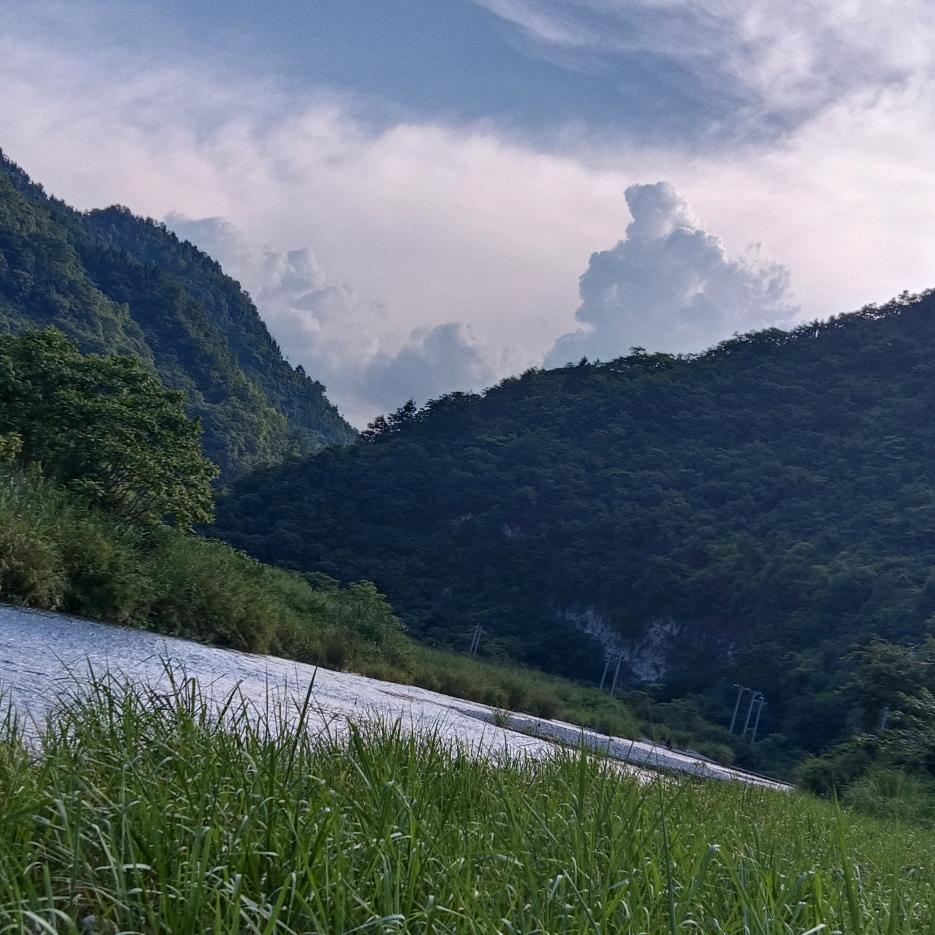 落子无悔《挖机出租，承接各种土石方》