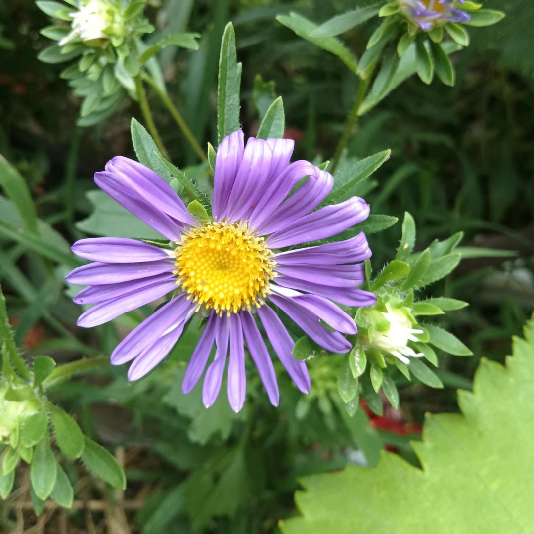 @💗এ余生ᝰᩚ谋财ღᩚ💕: 💞๓᭄