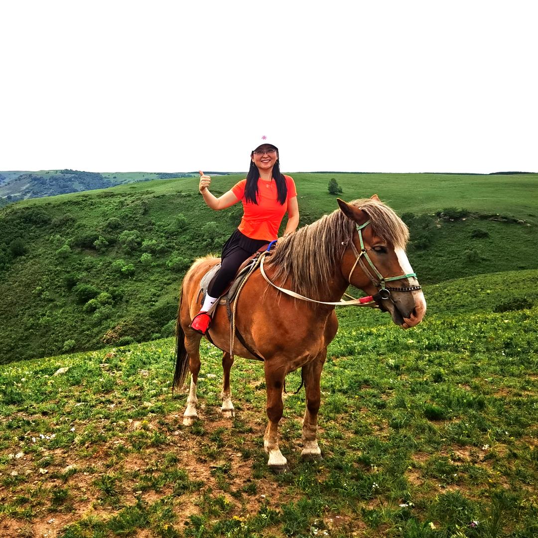 汇杰工作室—小龙女