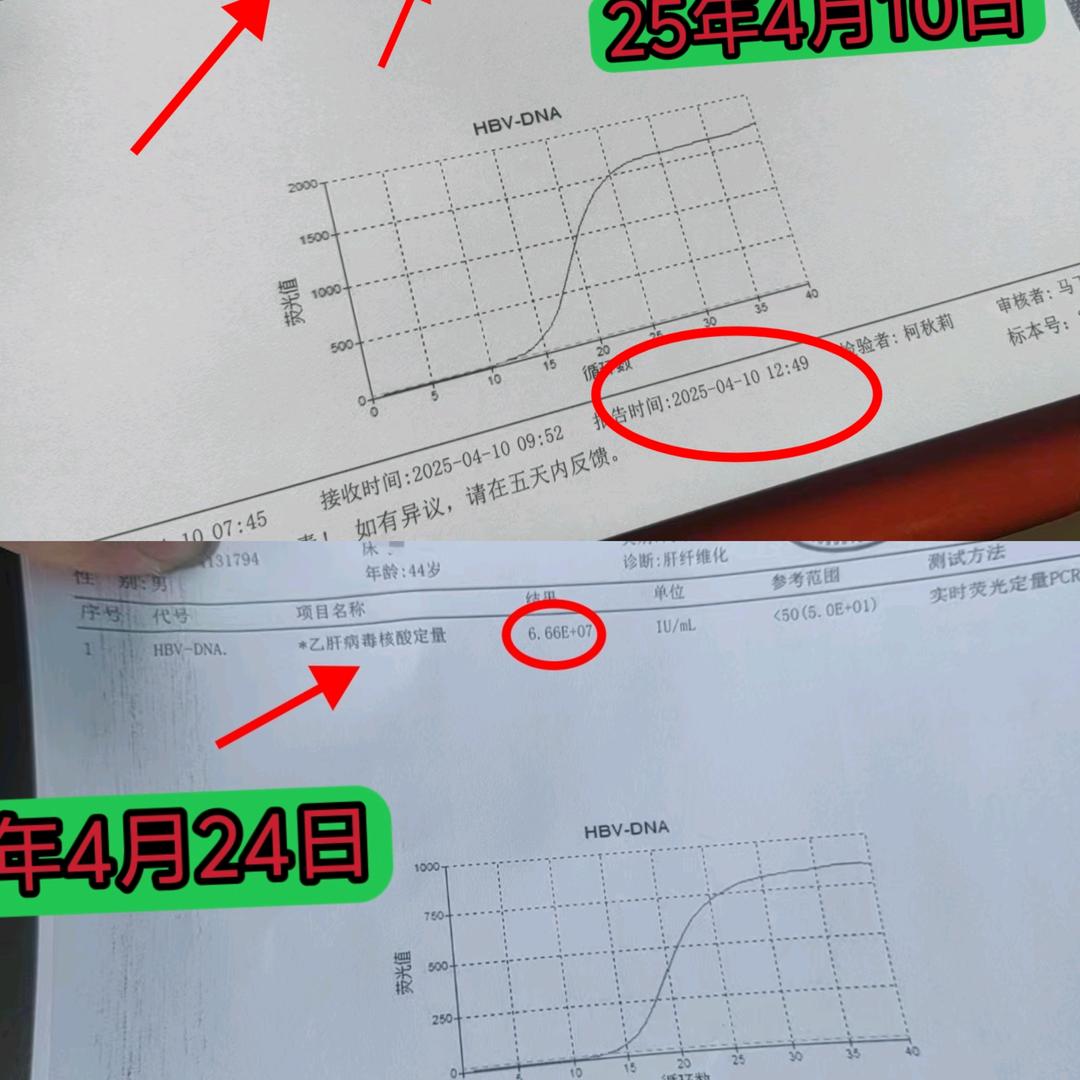 不见古人