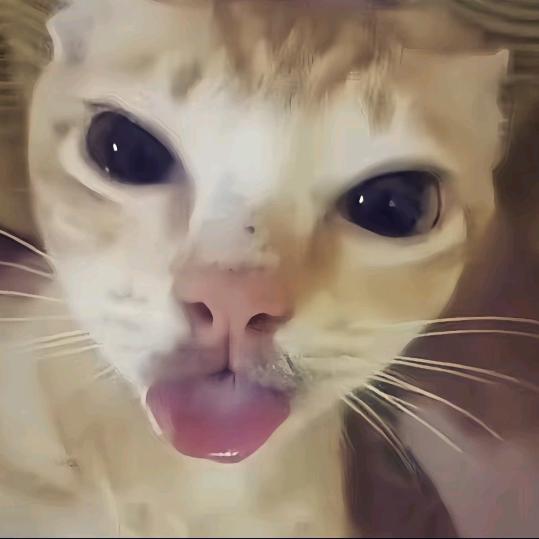 小綠