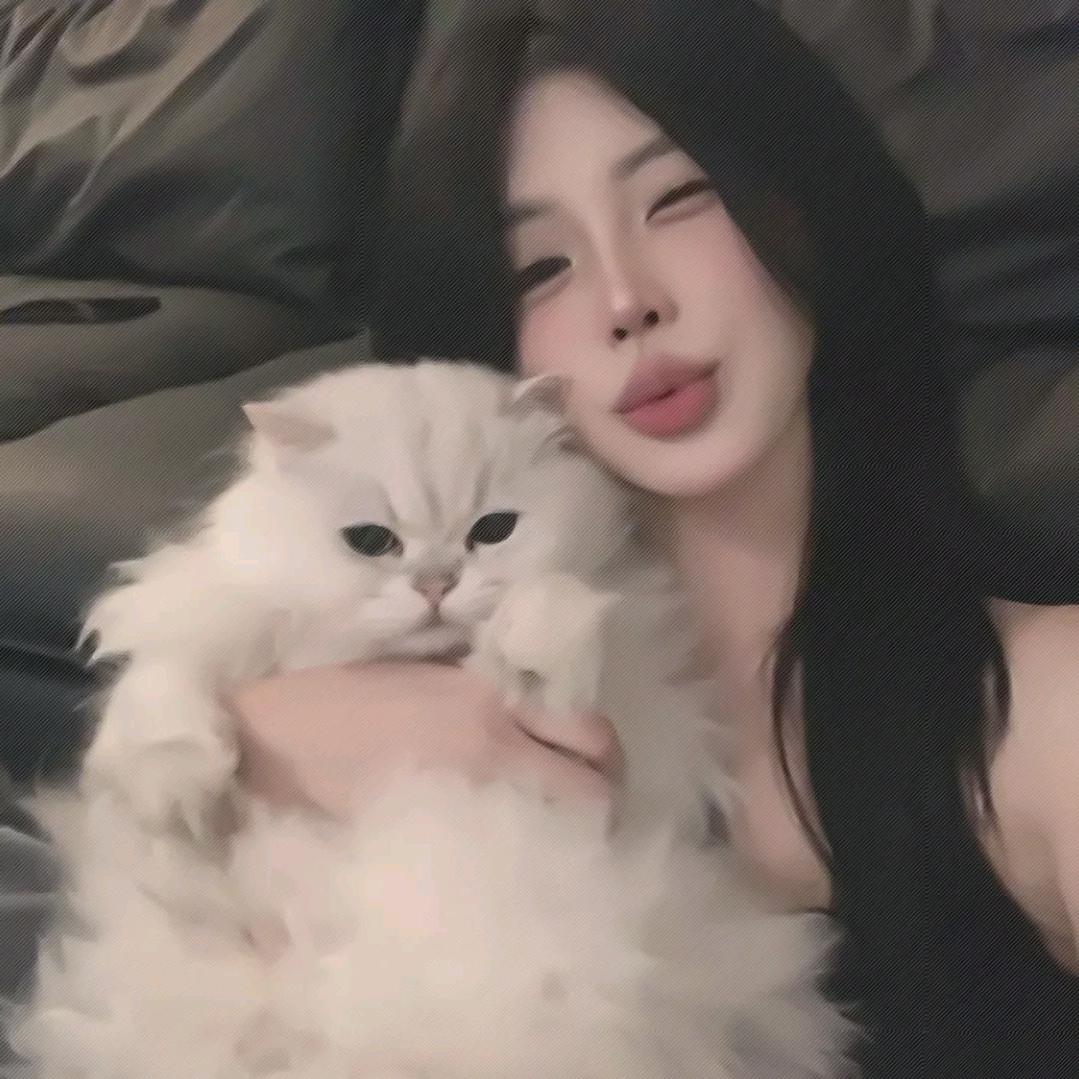 殒惜遇