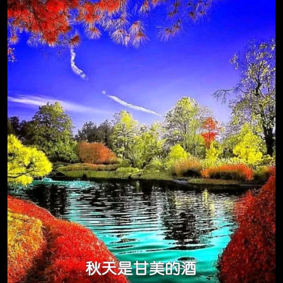 美好时光🍃(
