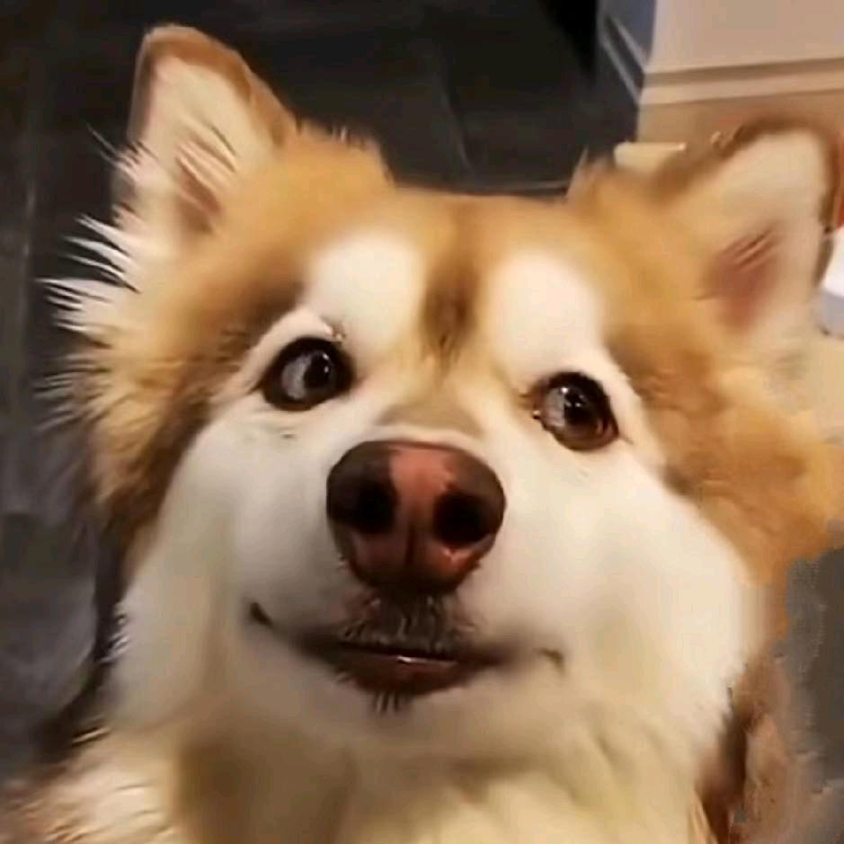 熟人