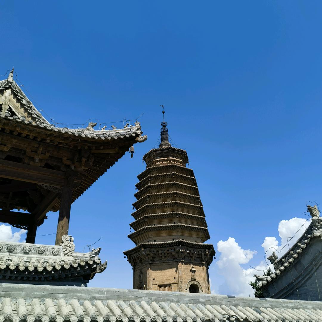 叶尔羌胡杨林