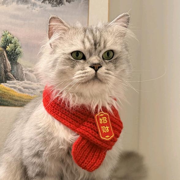 请叫我多咪！多咪！