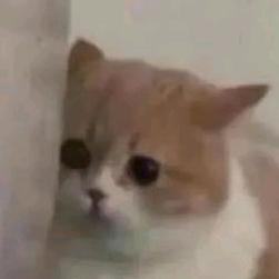 彻