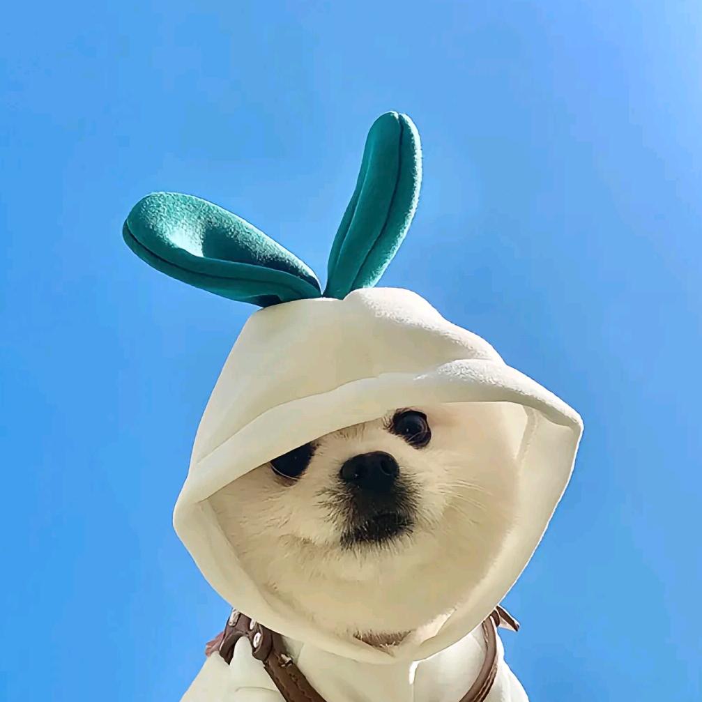小鹿撞翻星光