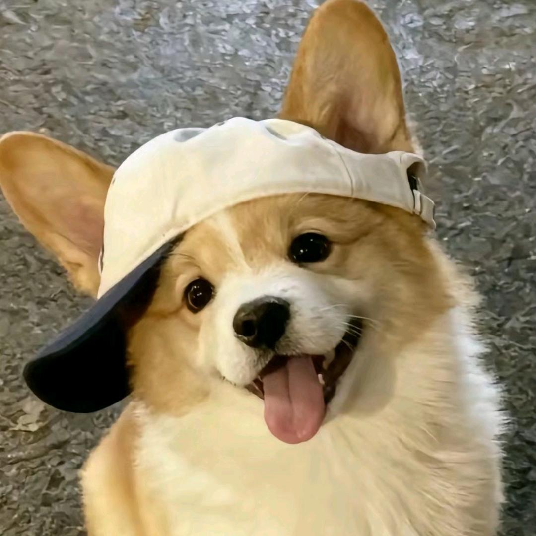 人生何处不相逢🍊