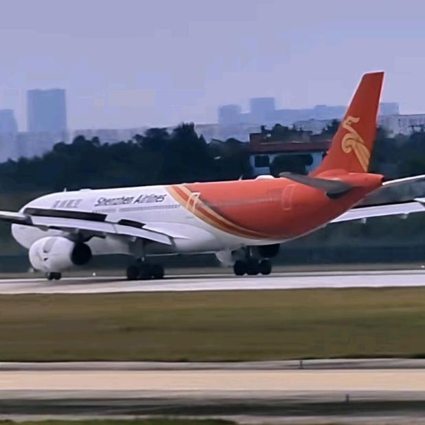 每个人的命运都天注定，