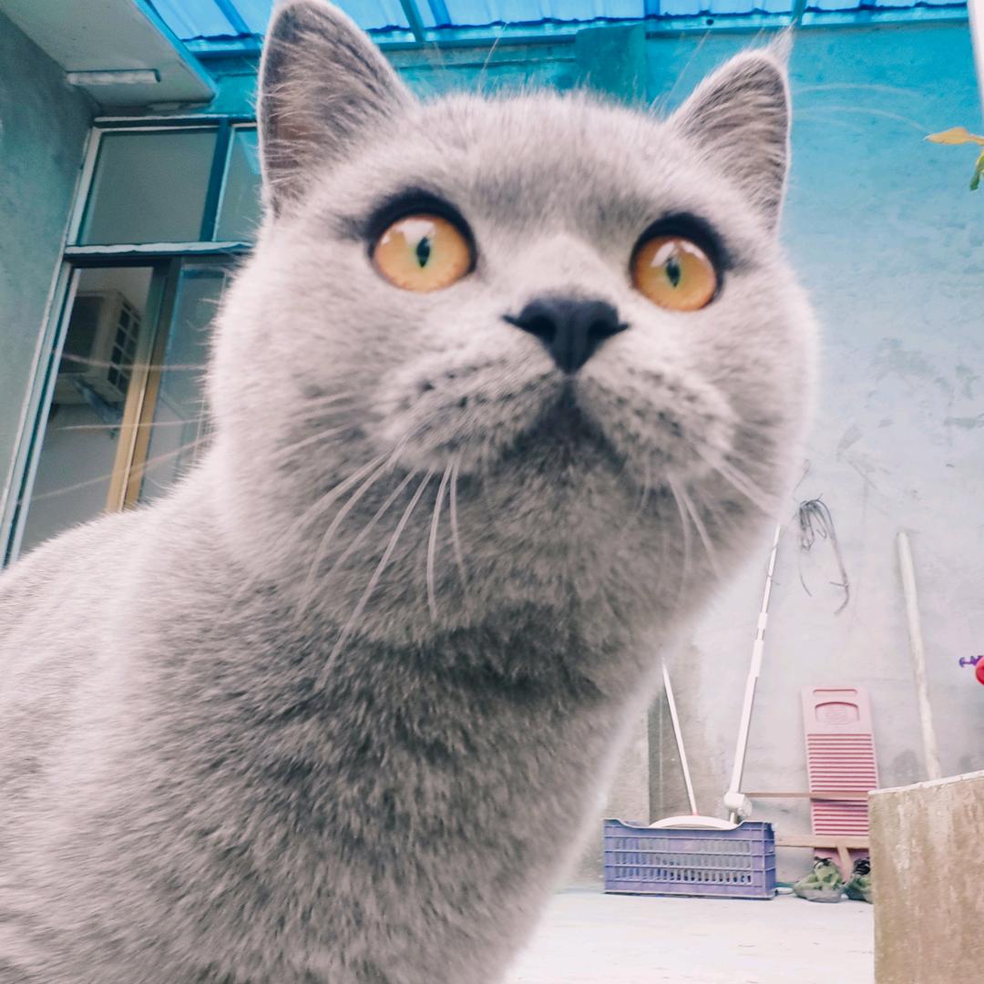 🌈小🐻在蜀山🌈