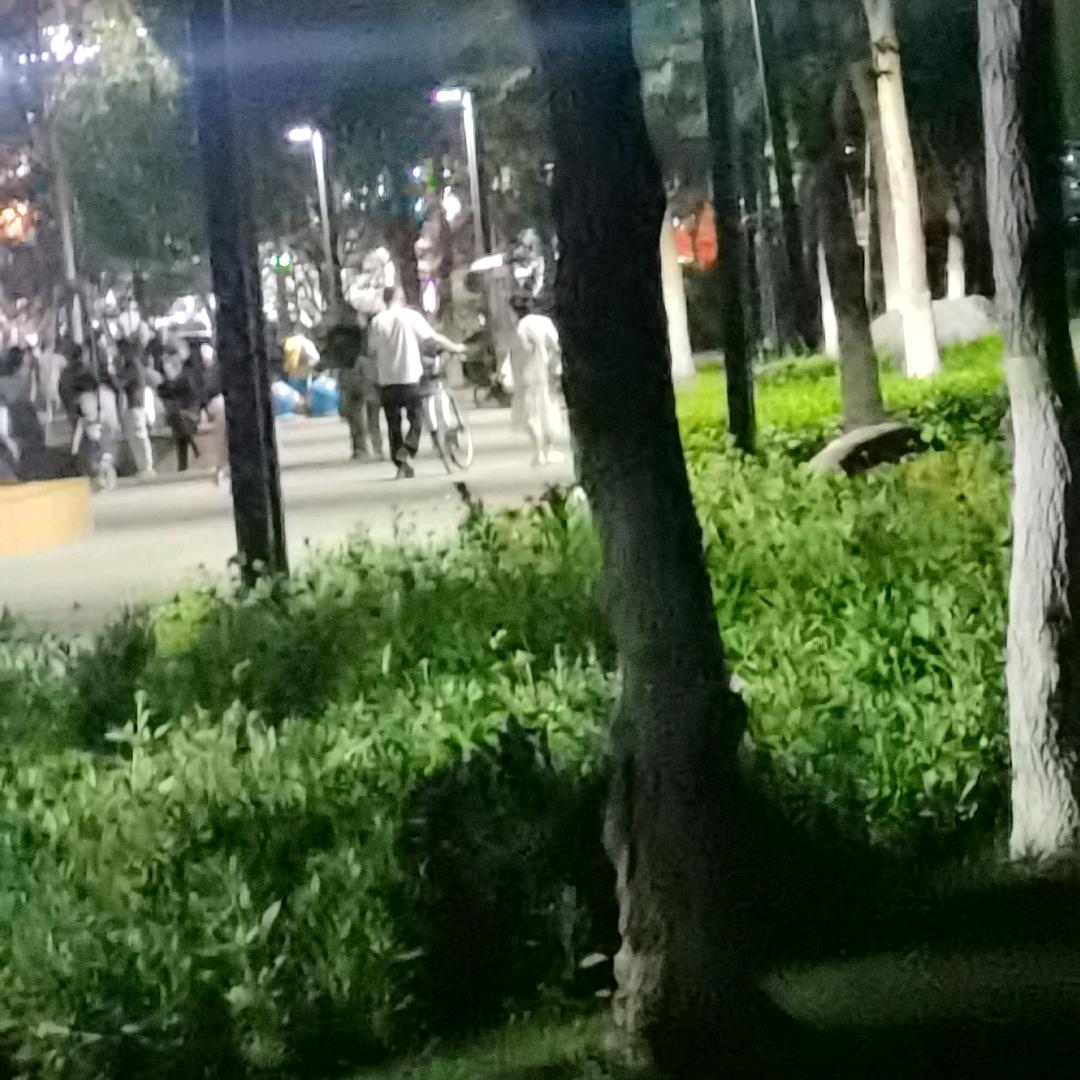 格式化，我自己