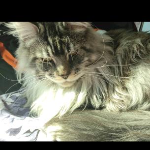 其实卢总很低调