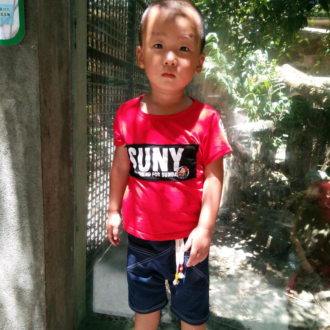 假装生活在杭州