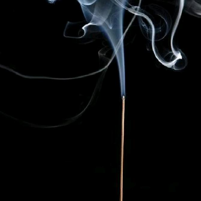 舍东洱：不舍不得，无舍无得