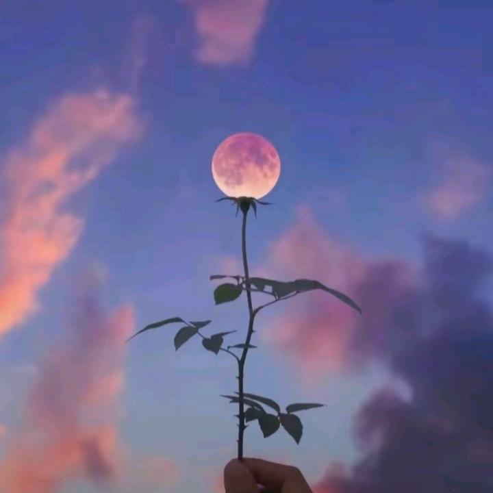 不过尔尔