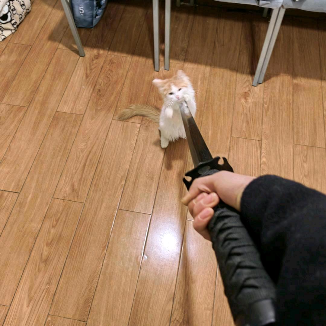 黄河边上洗大腿