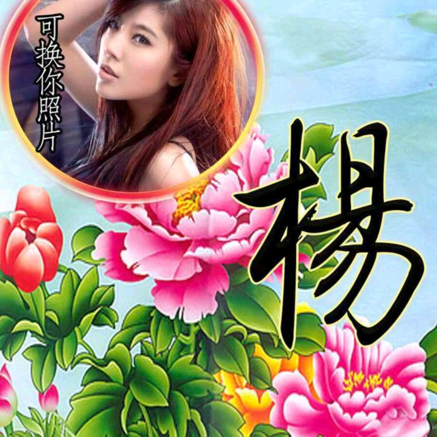 杨