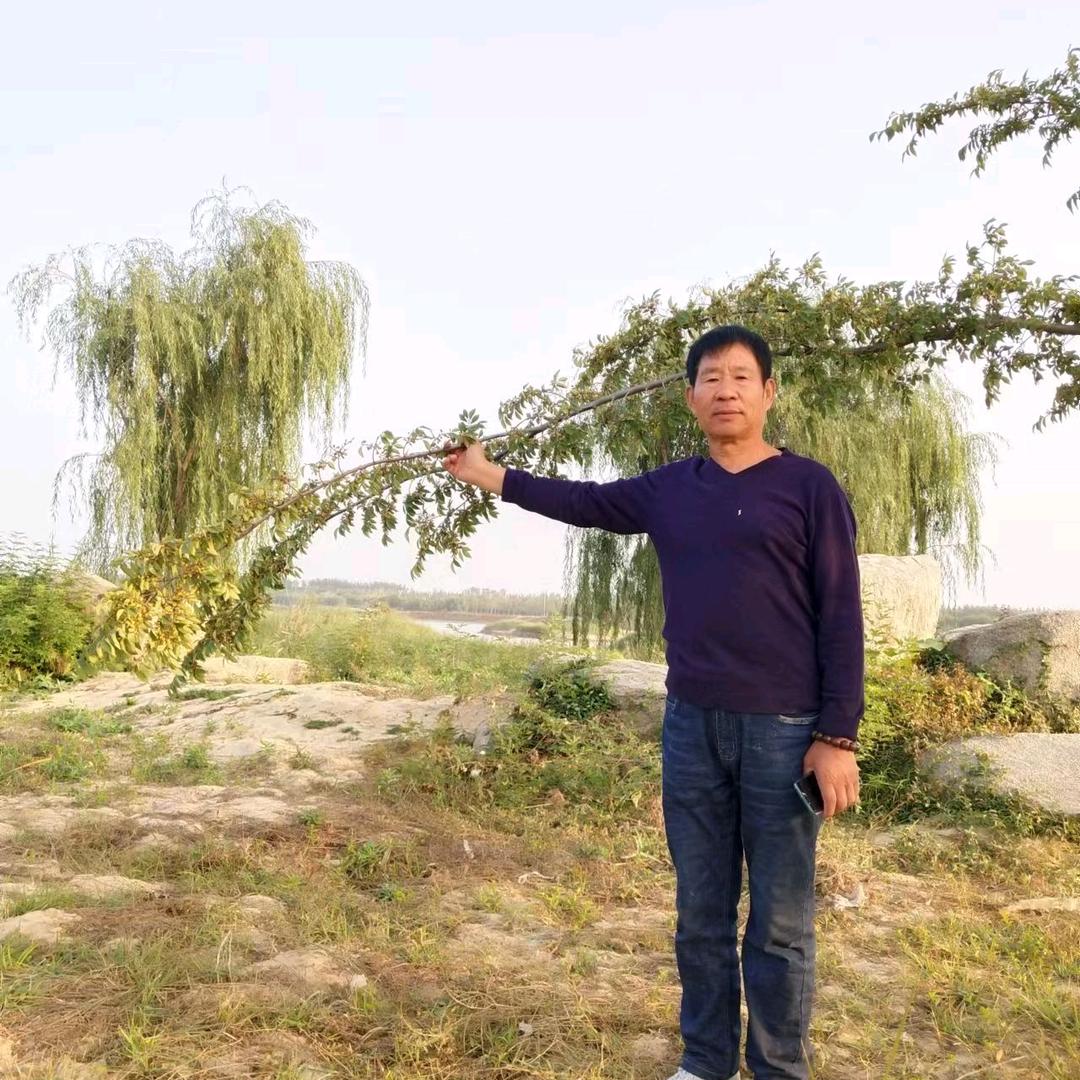 小太阳