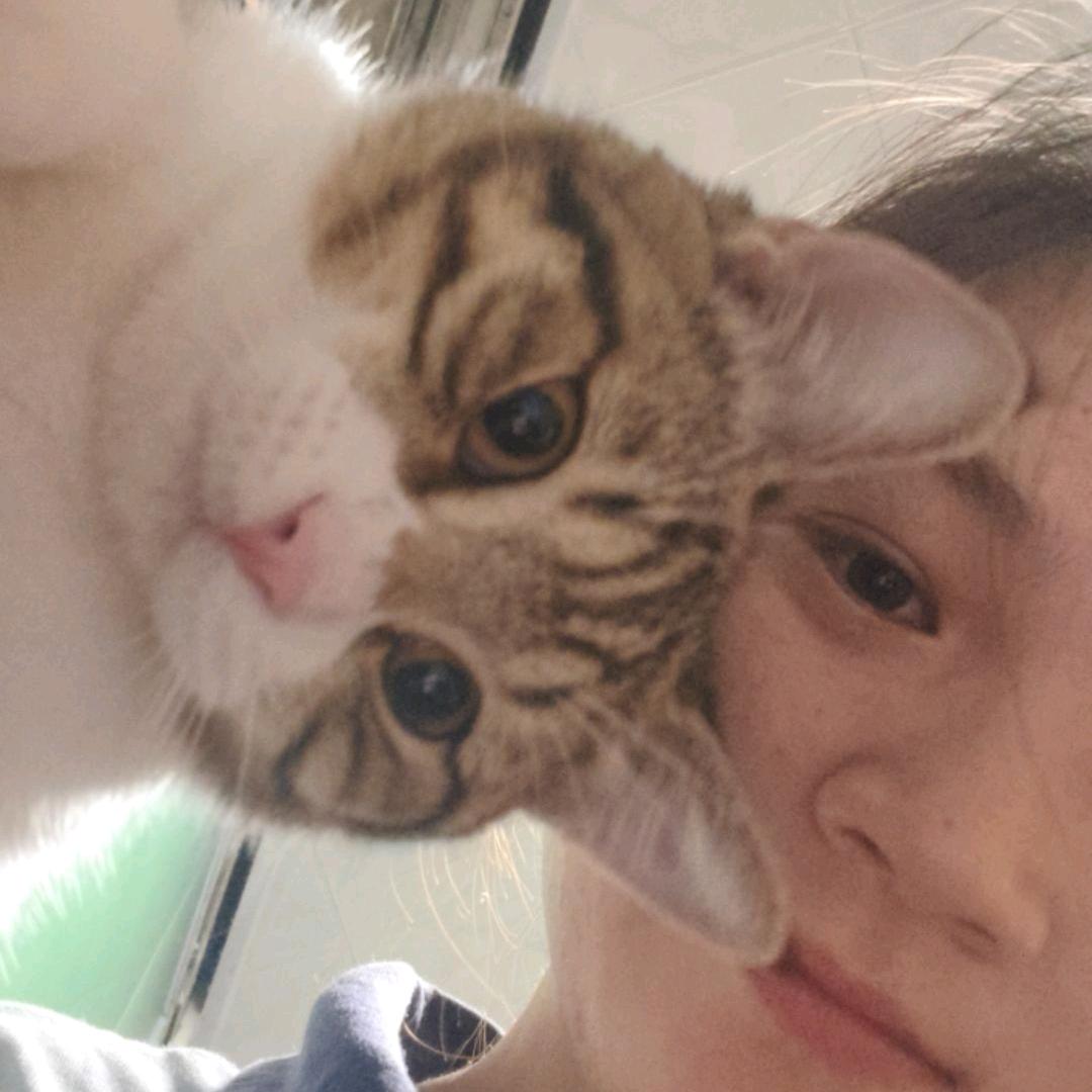 小盆友和她的钢蛋