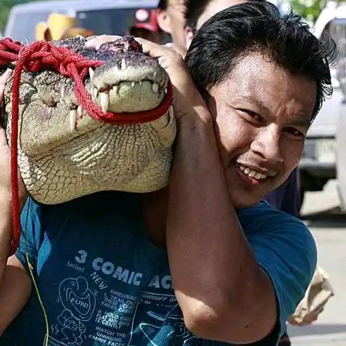 宏鑫鳄鱼养殖场