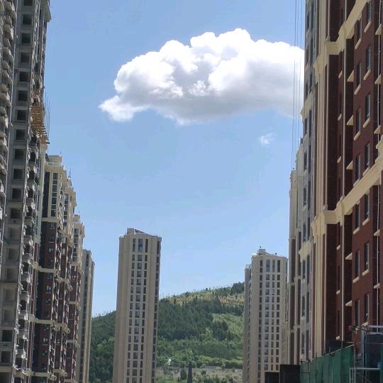 燕子归来