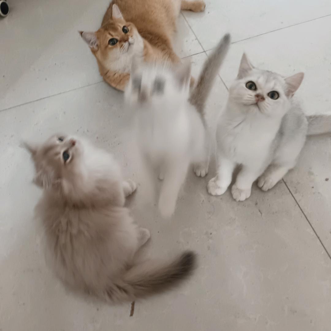 ，琼，豪，坚强，独立