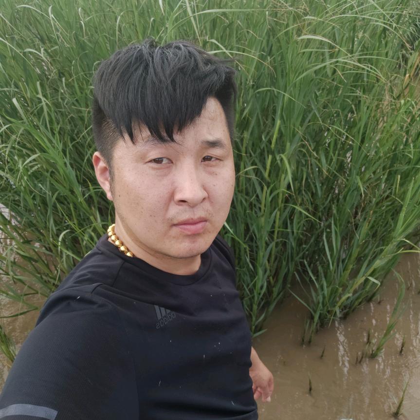 沪杰装饰
