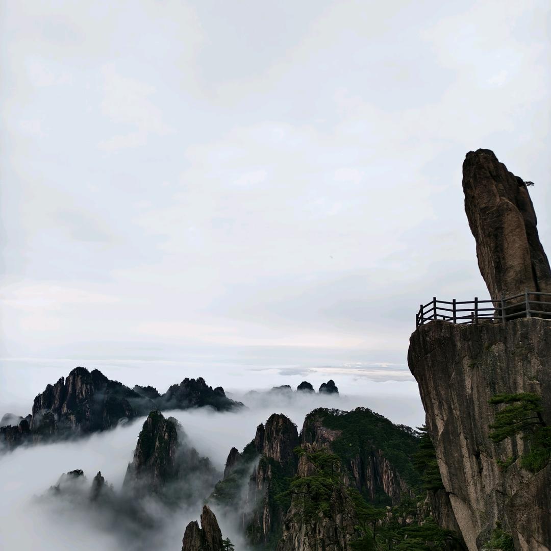 schx（在水一方）