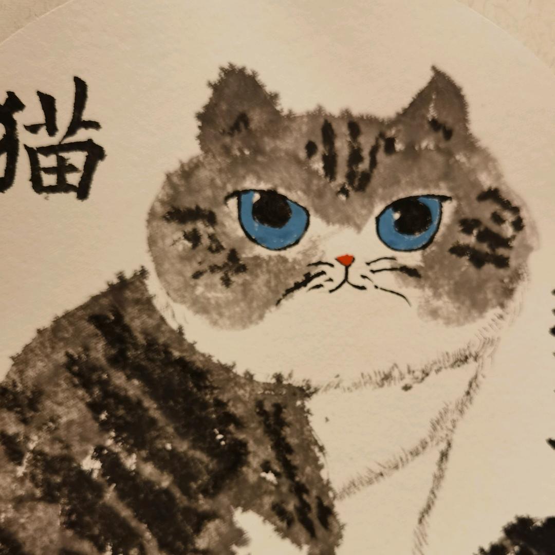 猫咪🐱