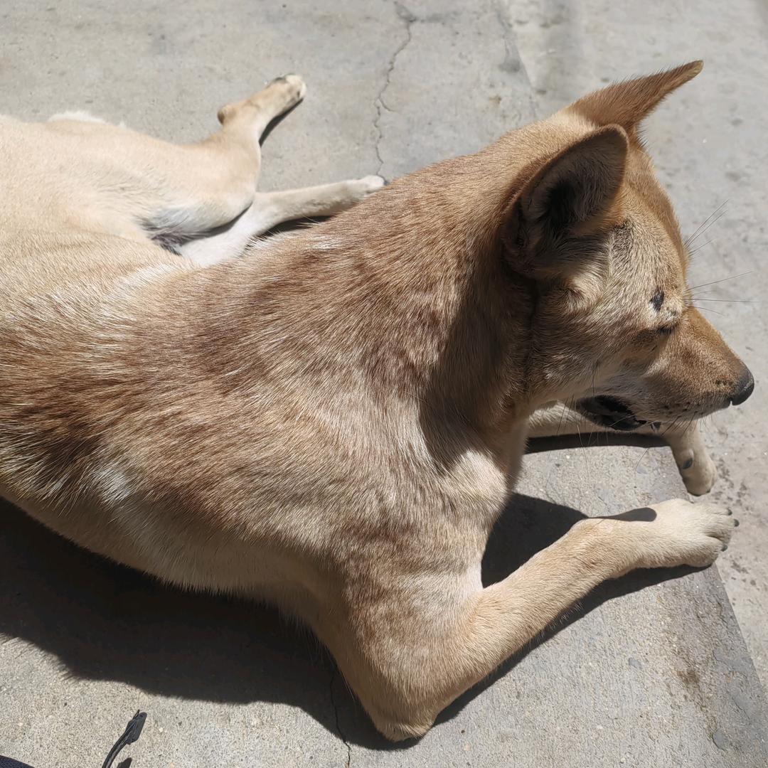 百货测评好物网购