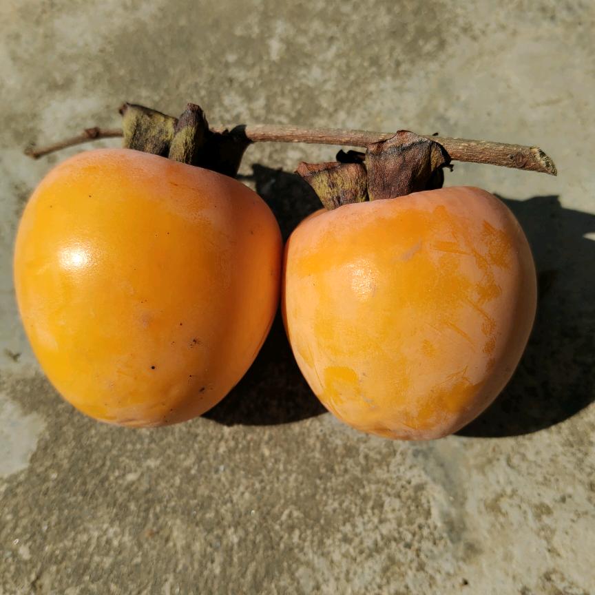 周游世界