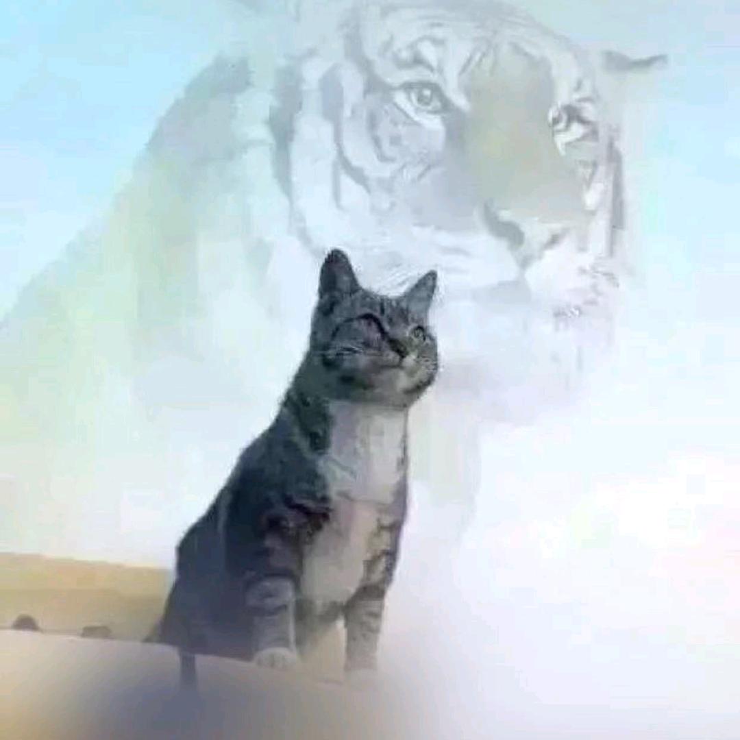 我命由我不由天