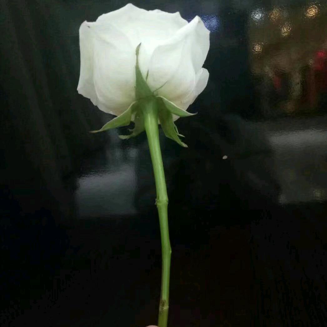 用户名92056172头像