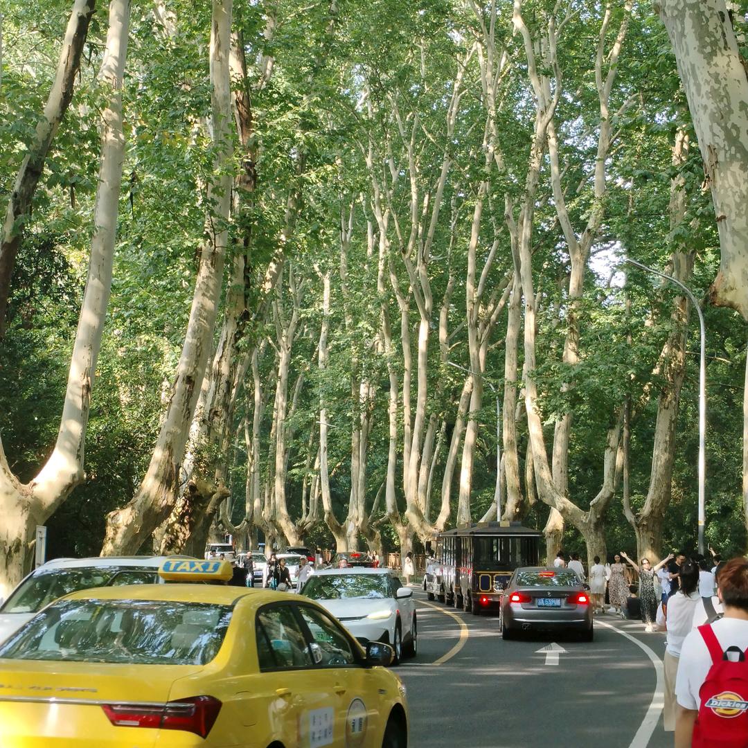 《城市猎人》……