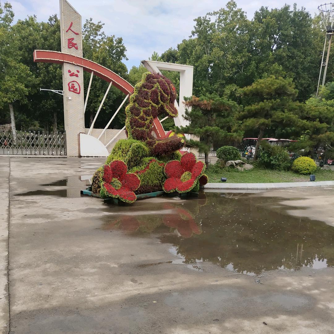 姐依然潇洒