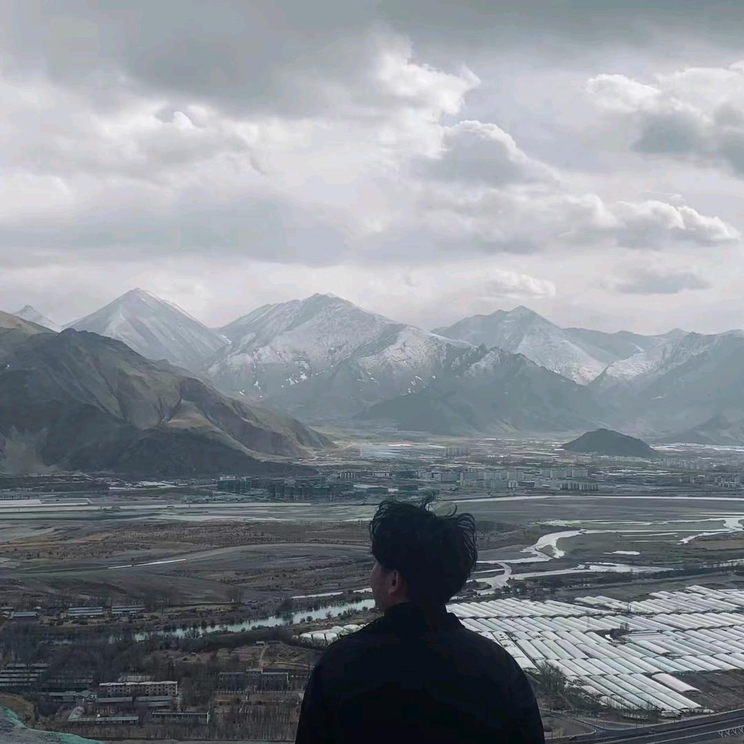 小刘在忙