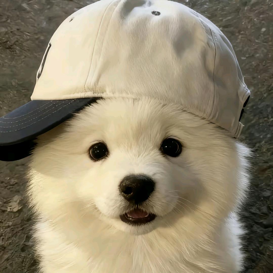 糖TTT