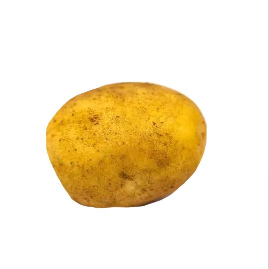 土也是豆