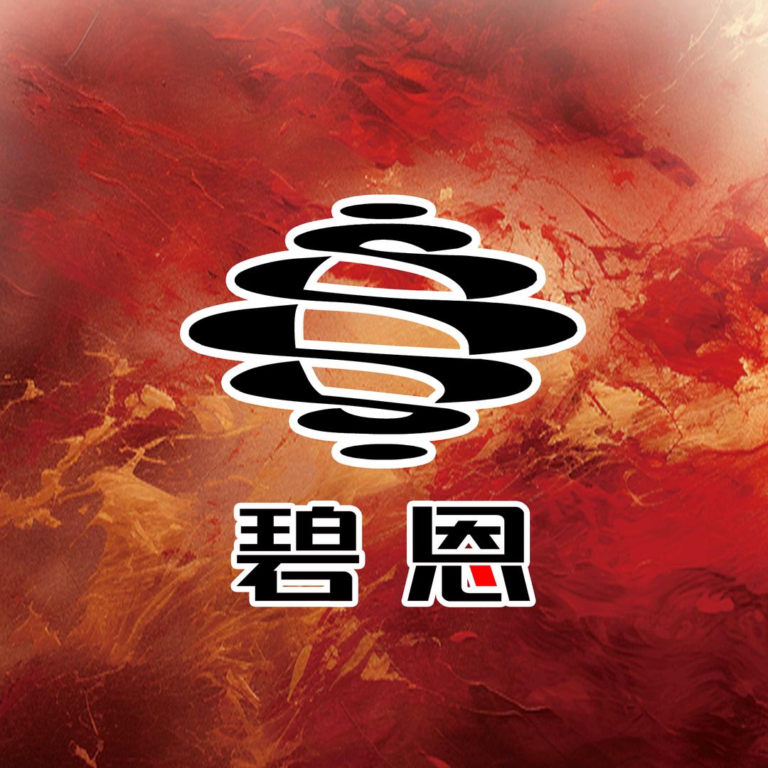 BN 碧恩台球杆
