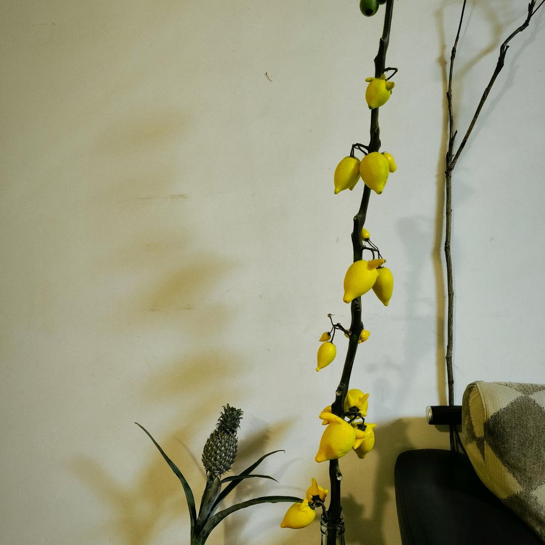 用户7371623655329英姐