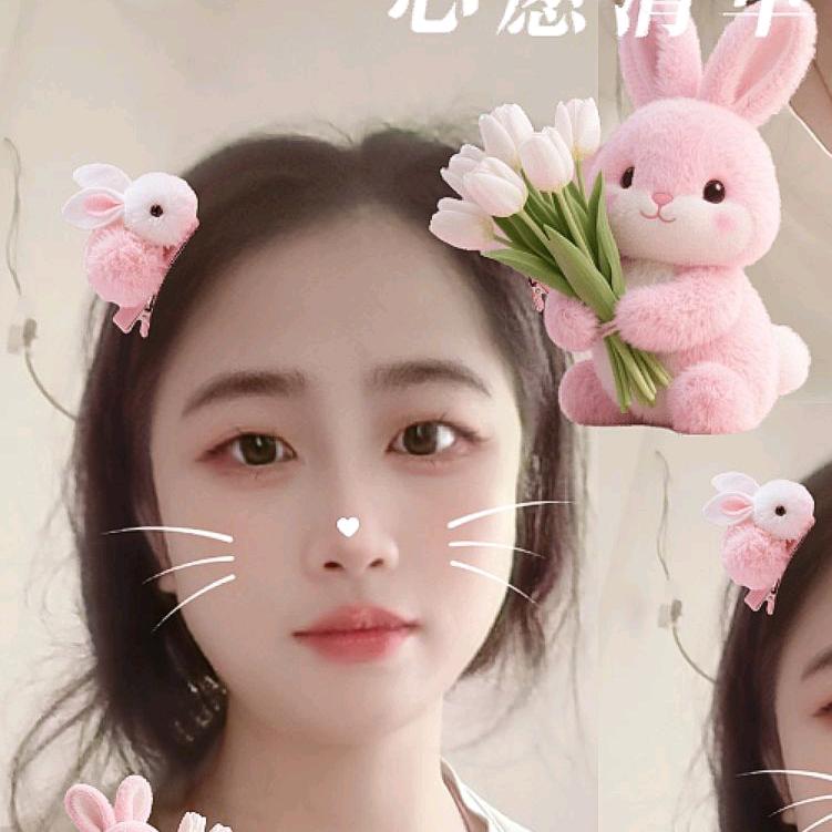 鸿鸿优选