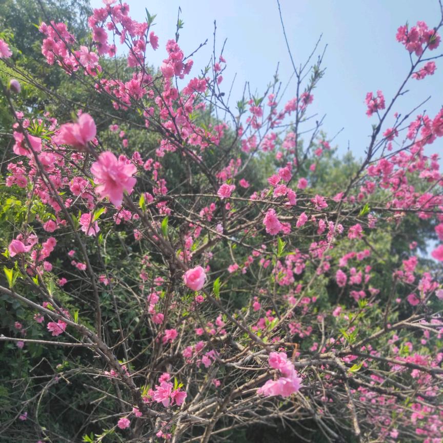 有你们真好